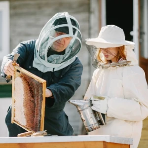 Ветеринария + Пчеловодство
