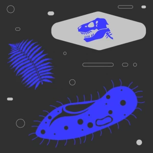 Эволюция жизни на Земле. Бесплатный курс