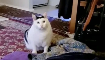 Травма насилия. Психологическая помощь