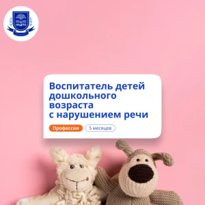 Воспитатель логопедической группы. Переподготовка