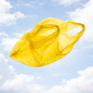 Цепная реакция: как экология меняет нашу жизнь