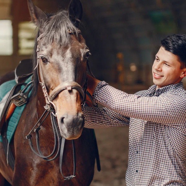 Ветеринария + Коневодство: разведение, содержание и использование лошадей