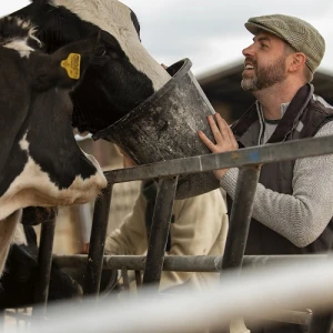 Зоотехния + Скотоводство: содержание, кормление и воспроизводство крупного рогатого скота