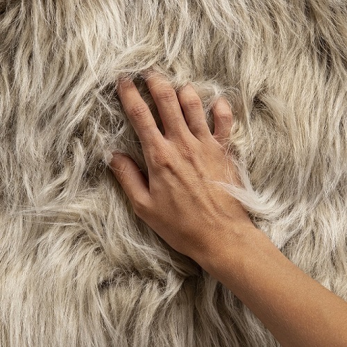 Ветеринария + Меховое звероводство и технологии переработки продукции