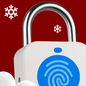 Специалист по информационной безопасности: расширенный курс