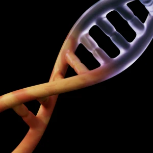 Основы генетики. Бесплатный курс