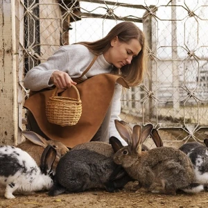 Ветеринария + Кролиководство