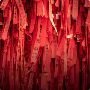 Жизнь Китая: от древней империи до современной сверхдержавы