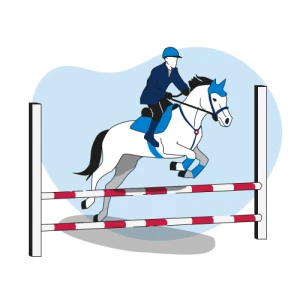 2 профессии: Тренер по конному спорту + Иппотерапевт