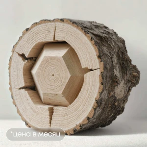 Unit-экономика и управление финансами для менеджера