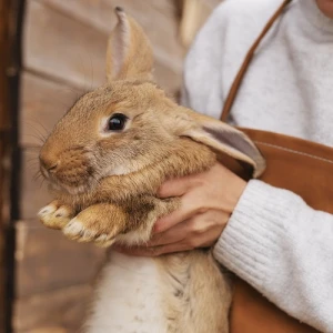 Зоотехния + Кролиководство и все пушные