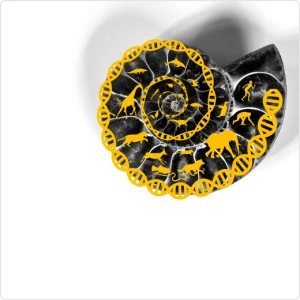 Эволюция: от молекулы до человека