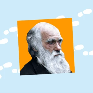 Биология. Экология.