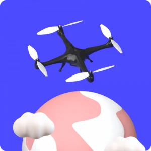 Анализ данных с дронов