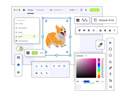 [БК] Графический дизайнер: первые шаги в профессии