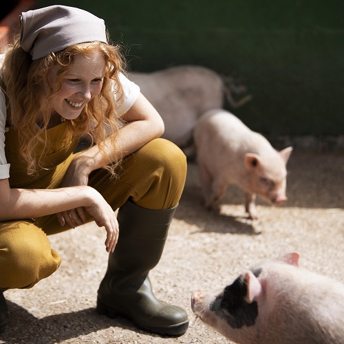Зоотехния + Свиноводство