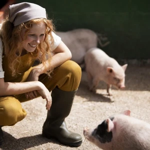 Зоотехния + Свиноводство