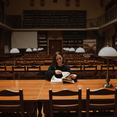 Полугодовой курс ЕГЭ-2026. Русский в стае с Дашей Ильичевой