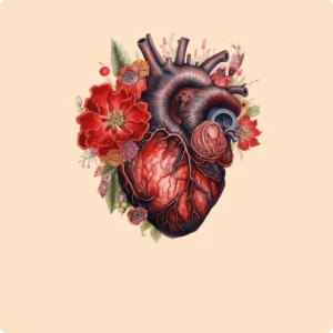 Анатомия: как устроено наше тело