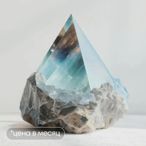 Основы Web-разработки: быстрый старт