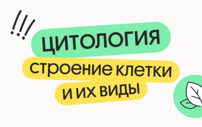 Цитология. Строение клетки и их виды