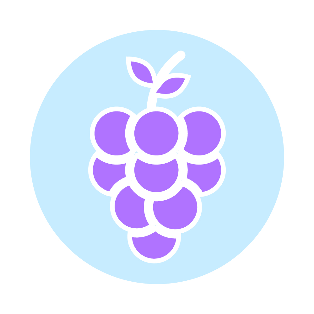 Выращивание винограда