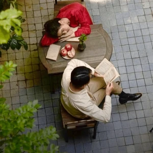 Что, опять? Вечные сюжеты книг