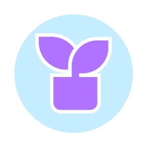 Фелинология: содержание кошек от основ до профессионального ухода