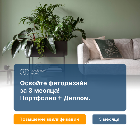 Фитодизайн