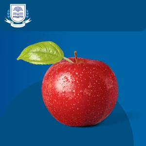 Руководитель отдела продаж. Повышение квалификации