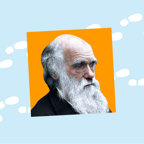 Биология. Углублённый уровень (зоология)